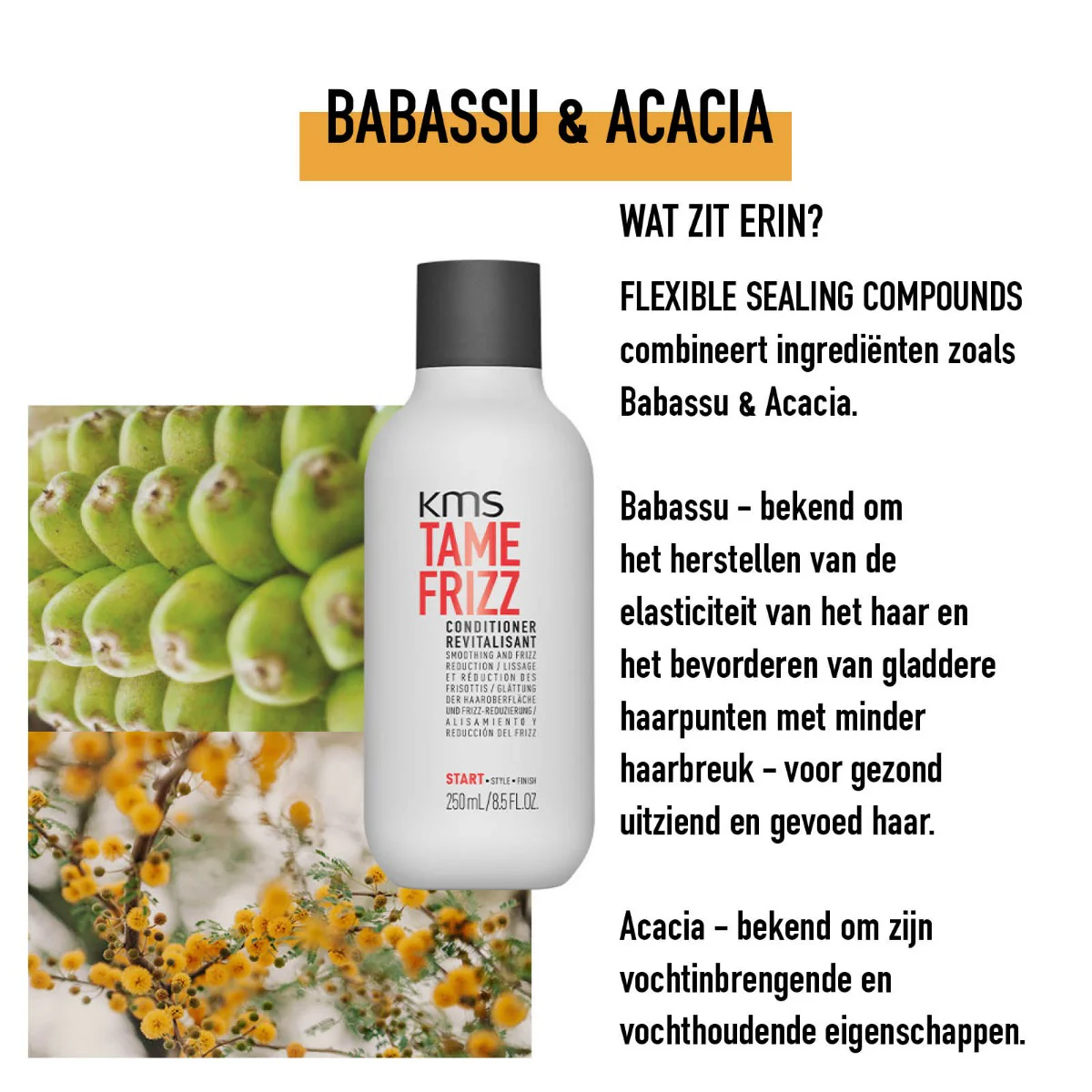 Productafbeelding 3