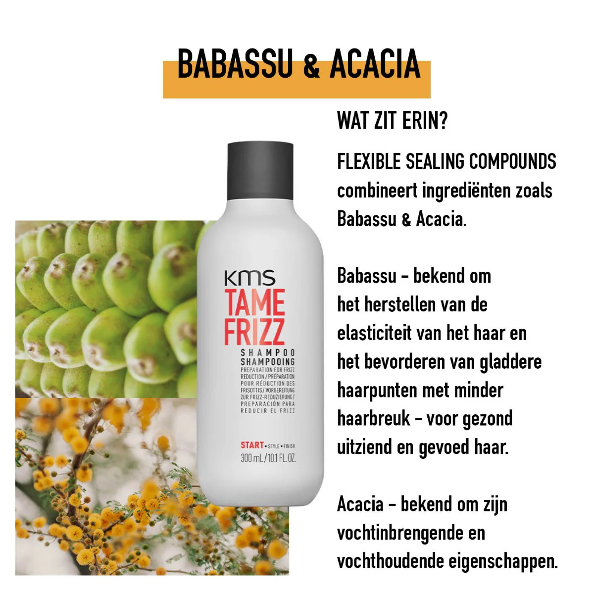 Productafbeelding 3