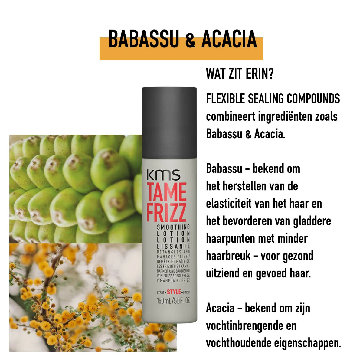 Productafbeelding 3