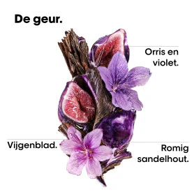 Productafbeelding 6