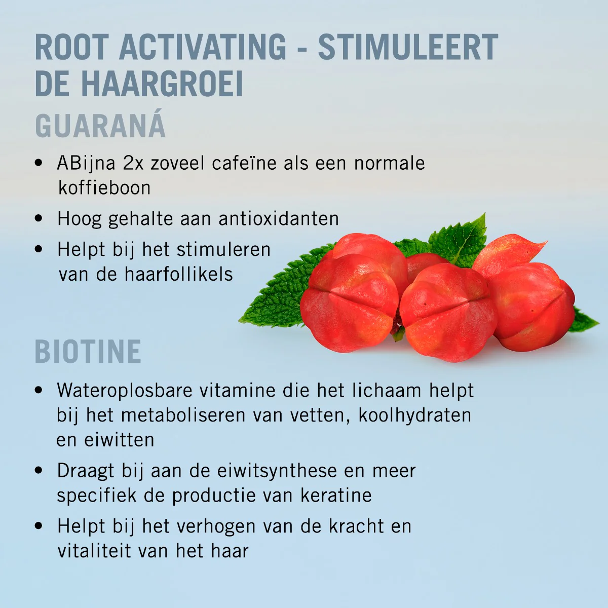Productafbeelding 4