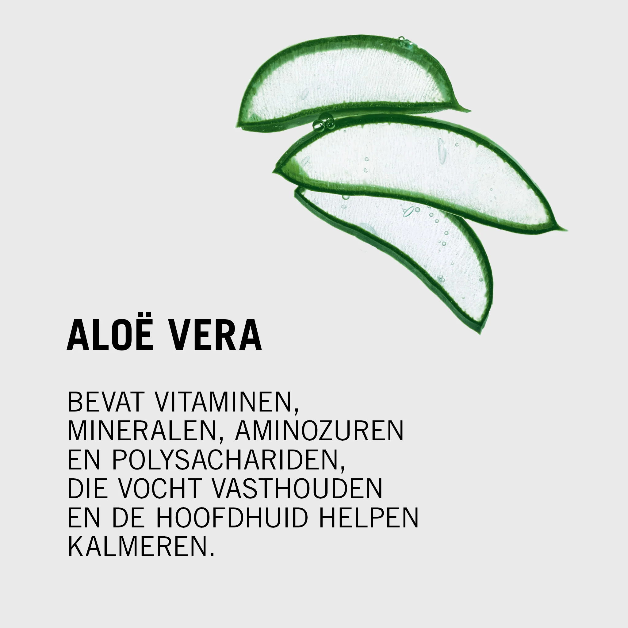 Productafbeelding 5
