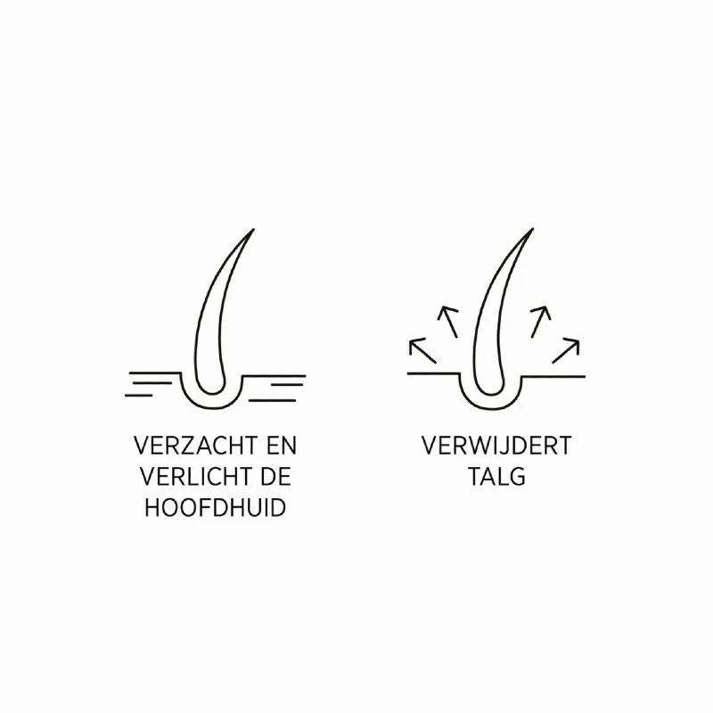 Productafbeelding 5